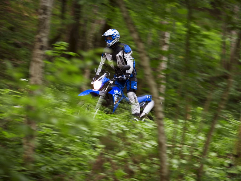 XT 660 R