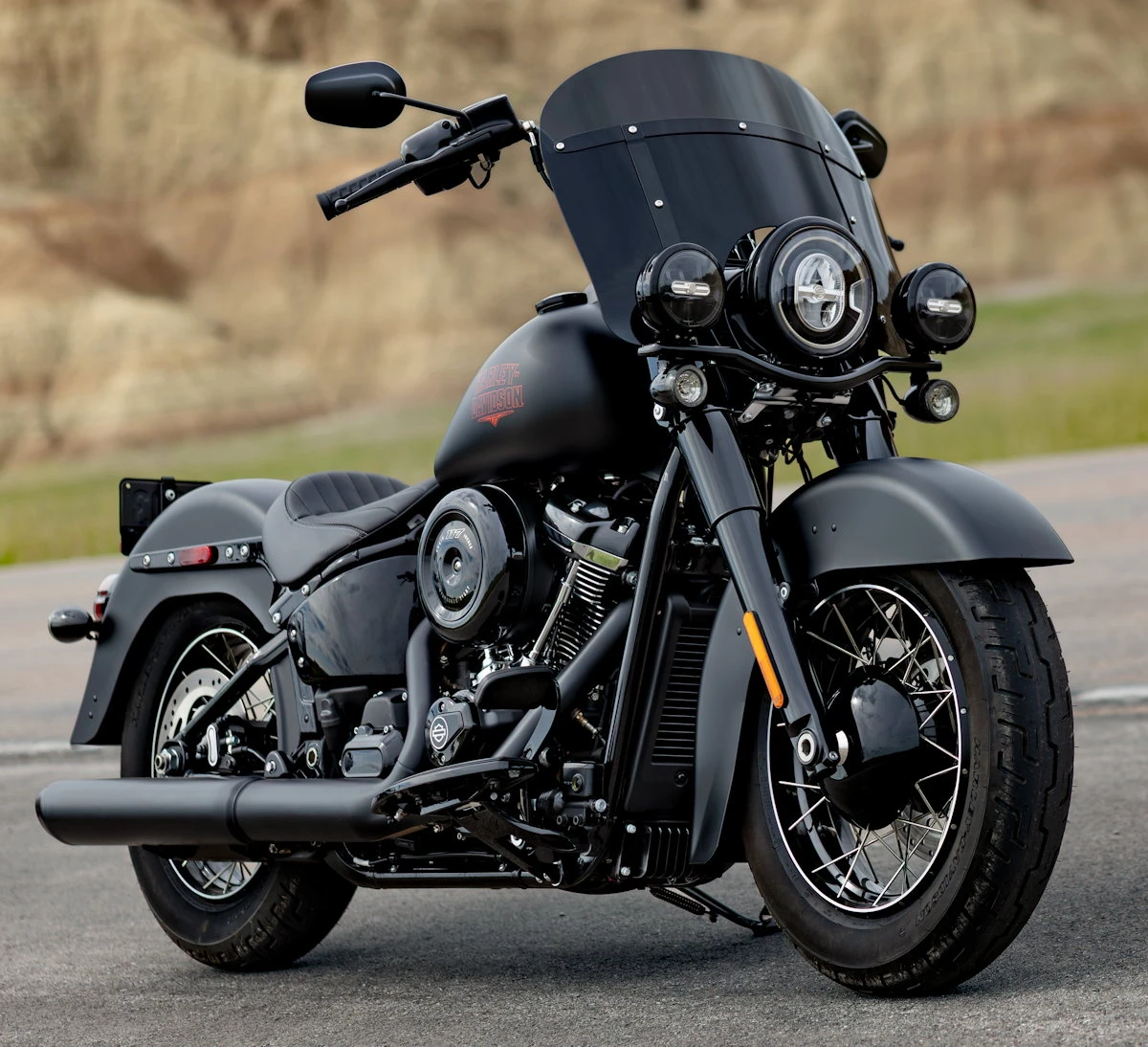 Harley-Davidson 1920 Deadwood FLHD 2026 - 6