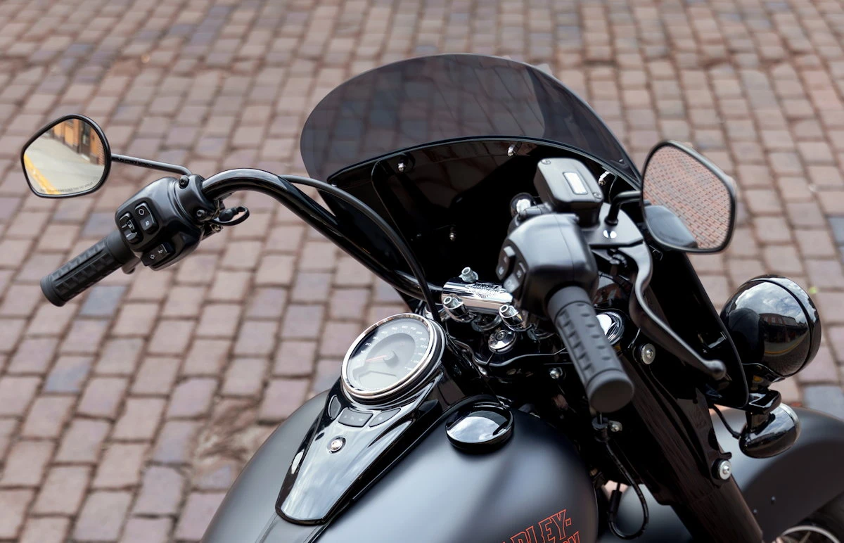 Harley-Davidson 1920 Deadwood FLHD 2026 - 8