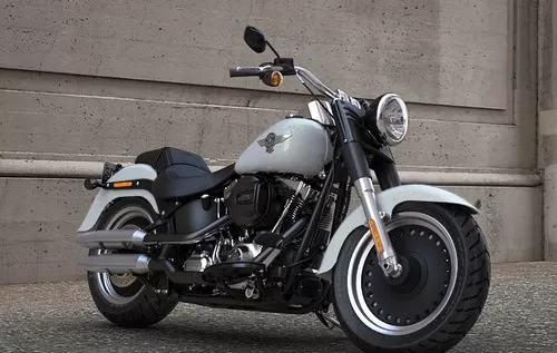 Foto de perfil del 1690 SOFTAIL FAT BOY SPECIAL FLSTFB 2016 en color indefinido.