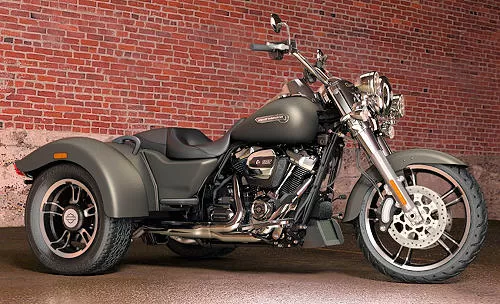 Foto de perfil del 1745 FREEWHEELER  FLRT 2018 en color indefinido.