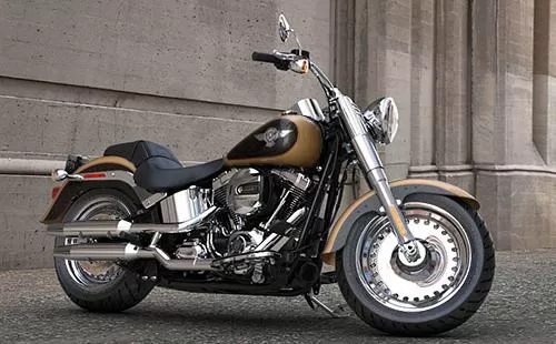 Foto de perfil del 1690 SOFTAIL FAT BOY FLSTF 2017 en color indefinido.