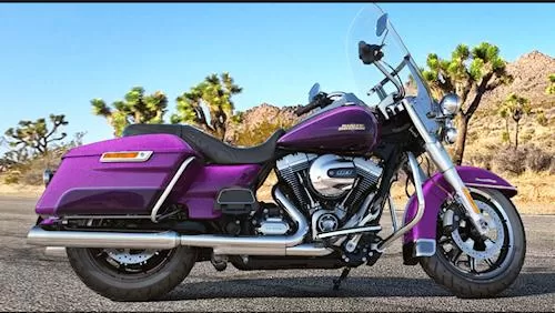 Photo de profil de la 1690 ROAD KING FLHR 2016 en couleur non défini
