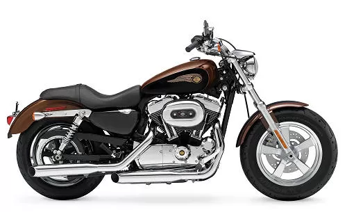Photo de profil de la XL Sportster 1200 Custom 110th Anniversary  2013 en couleur non défini