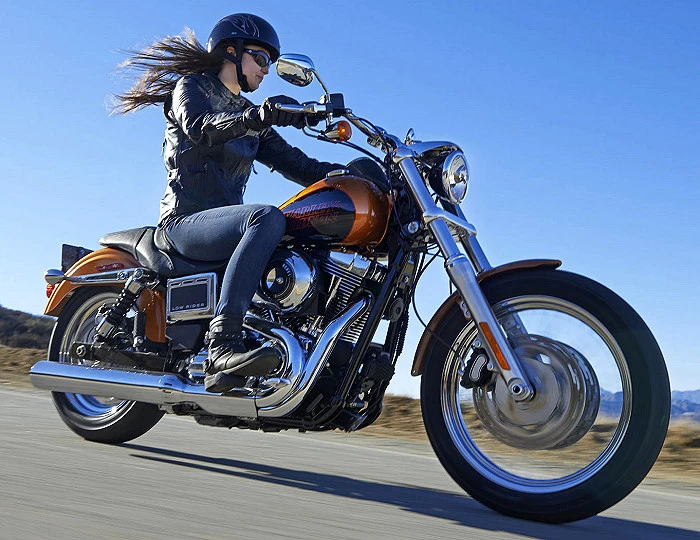 Harley-Davidson 1690 DYNA LOW RIDER FXDL 2014 - Motorcycle