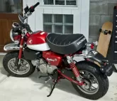 Motorcycle Honda Monkey 125 2020