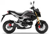 Motorcycle Honda MSX 125 2020