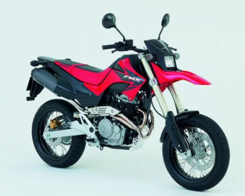 Profile photo of FMX 650 2005 in color not defined.