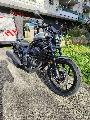 CMX 1100 REBEL 2026