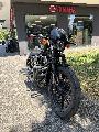 SPORTSTER IRON 1200 2019