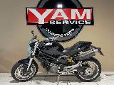 1100 MONSTER 2010
