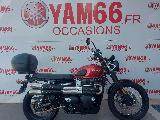 STREET SCRAMBLER  900 2019