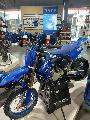 YZ65 2026