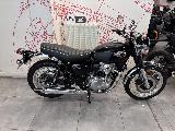 W 800 2025