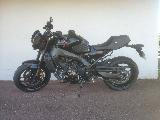 XSR 900 2024