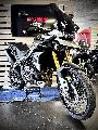 TIGER 900 RALLY PRO 2022