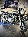 XJR 1300 2009