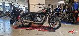 GOLD STAR 650 2024