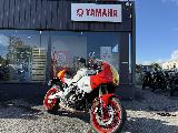 XSR 900 GP 2024