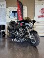 XVS 1300 2011