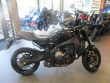 XSR 900 2024
