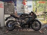CBR 650  R 2024