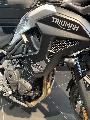 TIGER 1200 GT PRO 2025