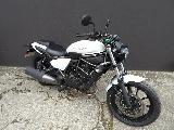 ELIMINATOR 500 SE 2025