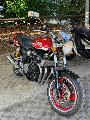 XJR 1300 1999