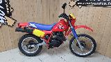 XL 350 1985