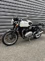 THRUXTON 1200 2016