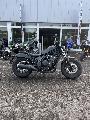CMX 500 REBEL 2025
