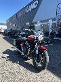 SUPER METEOR 650 2024