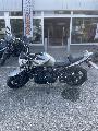 GSF 650 BANDIT 2009