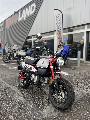 MONKEY 125 2026