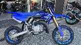 YZ65 2025
