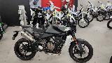 SVARTPILEN 801 2024