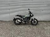 LEONCINO 500 2022