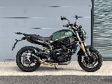 LEONCINO 800 2024