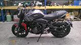 TRIDENT 660 2021