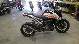 390 DUKE 2022