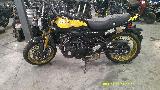 Z 900 2024