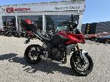 Tiger Sport 2022