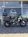 TIGER 900 RALLY PRO 2022