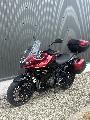 Tiger Sport 800 Tour 2026