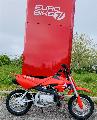 CRF 50 2025
