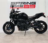 FZ1 2010