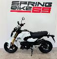 MSX 125 Grom 2025