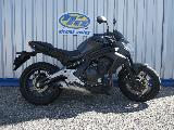 ER6 2013