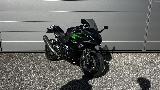 Ninja 500 2025